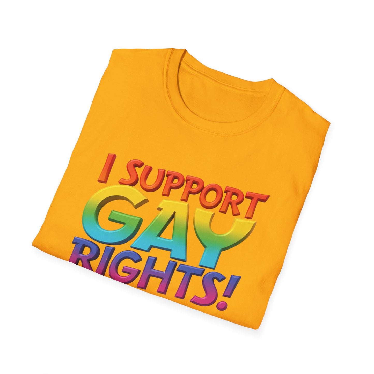 I support Gay Rights 2
