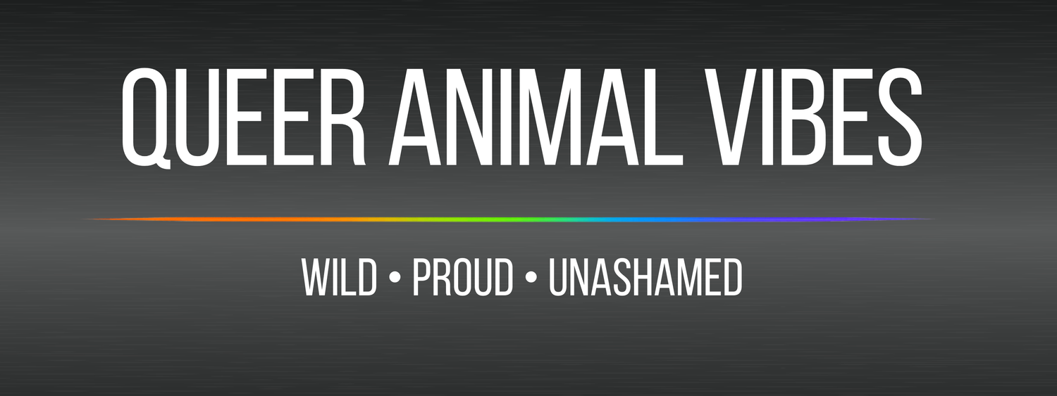 13 Queer Animal Vibes