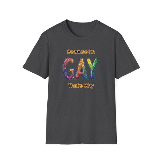 Because I'm Gay, That's Why